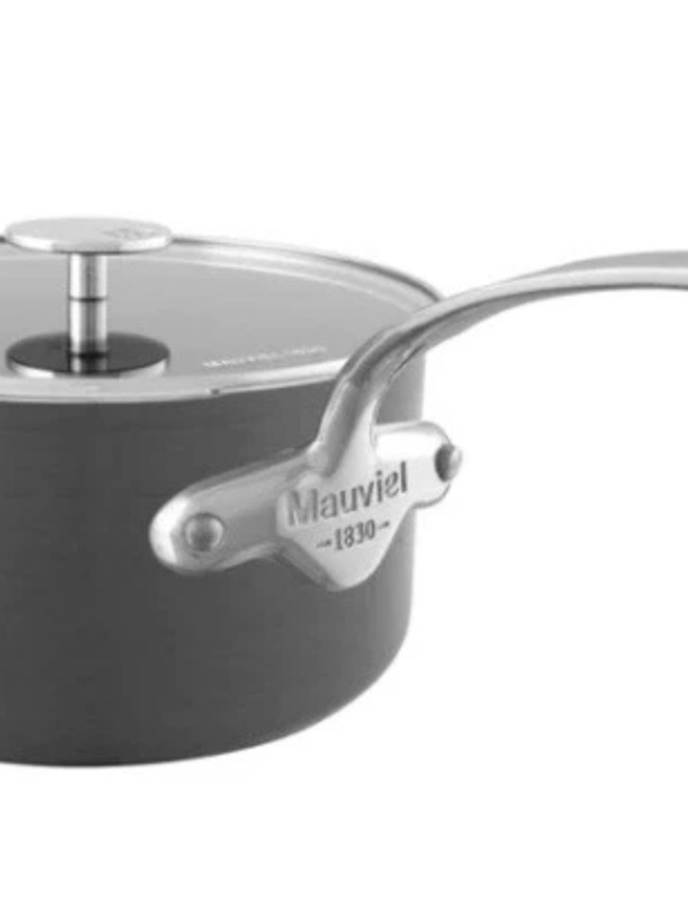 Mauviel M'STONE 1830 Sauce Pan W/ Glass Lid Cast Stainless Steel Handle 1.8-Qt